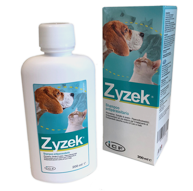 ZYZEK SHAMPOO ANT*FL PE 200ML - Farmastop