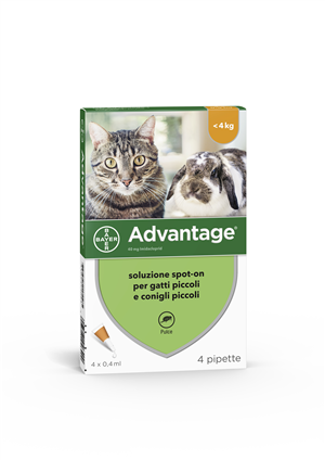 ADVANTAGE*4PIP 0,4ML SPOTON - Farmastop