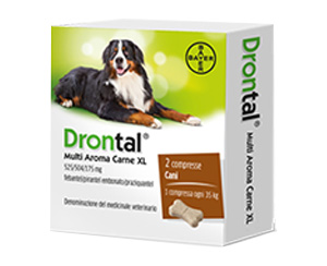 DRONTAL MULTI AR CARNE XL*2CPR - Farmastop