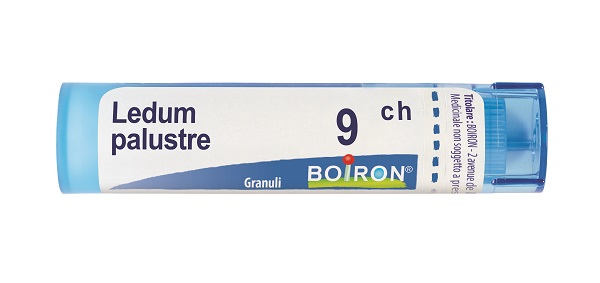LEDUM PALUSTRE 9 CH GRANULI - Farmastop