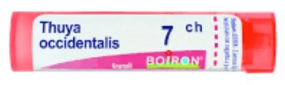 THUYA OCCIDENT 7CH GLOBULI - Farmastop