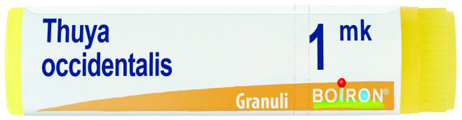 THUYA OCCIDENTALIS MK GLOBULI - Farmastop