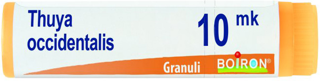 THUYA OCCIDENTALIS XMK GLOBULI - Farmastop