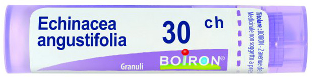 ECHINACEA ANGUSTIFOLIA 30 CH GRANULI - Farmastop