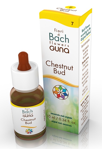 CHESTNUT BUD GOCCE 10 ML - Farmastop