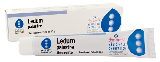 LEDUM PALUSTRE HOMEOPHARM UNGUENTO 40 G - Farmastop