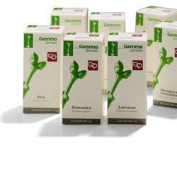 BETULLA VERRUCOSA GEMME50ML MG - Farmastop