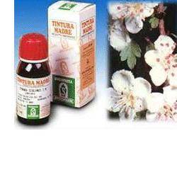 BIANCOSPINO 10 50ML TM - Farmastop