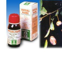 QUERCIA MARI 14 50ML TM - Farmastop