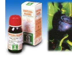 MIRTILLO 31 50ML TM - Farmastop