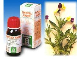 VIOLA DEL PENSIERO 32 50ML TM - Farmastop