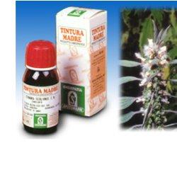 CARDIACA 16 50ML TM - Farmastop