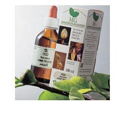 ROSA CANINA 100ML MG - Farmastop
