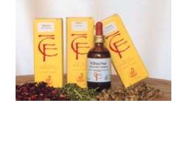 FICO GEMME 100ML MG - Farmastop