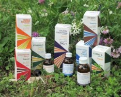 RAEMIL BETULLA MACERATO IDROALCOLICO COMP 50 ML - Farmastop