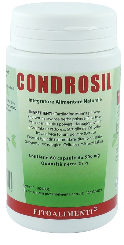 CONDROSIL 60 CAPSULE - Farmastop