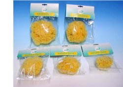 NATURA PURA SPUG NAT 8 BUST - Farmastop