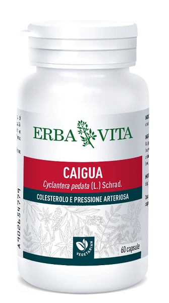 CAIGUA 60 CAPSULE 400 MG - Farmastop
