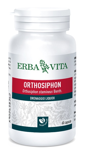 ORTOSIPHON 60 CAPSULE 400 MG - Farmastop