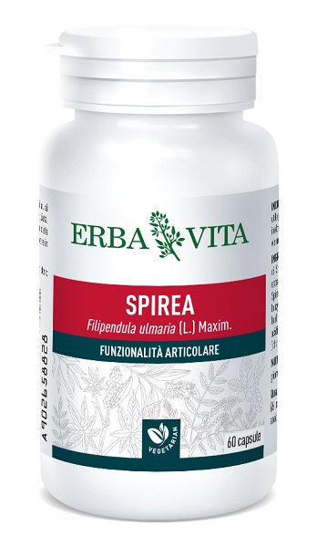 SPIREA ULMARIA 60 CAPSULE 400 MG - Farmastop