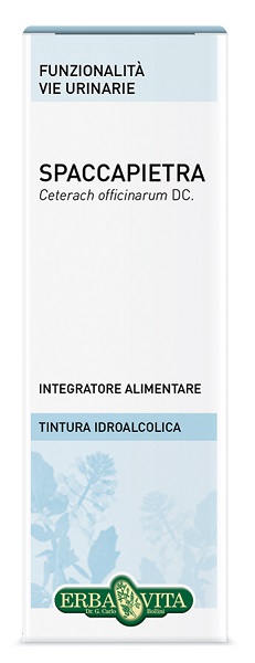 SPACCAPIETRA TINTURA IDROALCOLICA 50 ML EBV - Farmastop