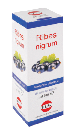 RIBES NIGRUM MG 100 ML GOCCE - Farmastop