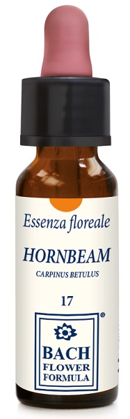 HORNBEAM ORIGINAL 10ML GTT - Farmastop