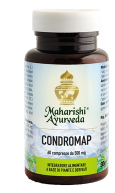 CONDROMAP 60 COMPRESSE - Farmastop