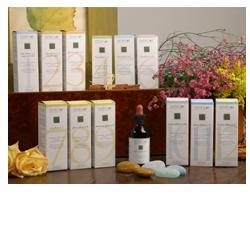 ZEF04 LIPO PLANT STV - Farmastop