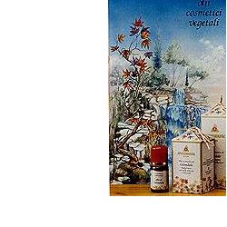 AVOCADO OLIO 100ML - Farmastop