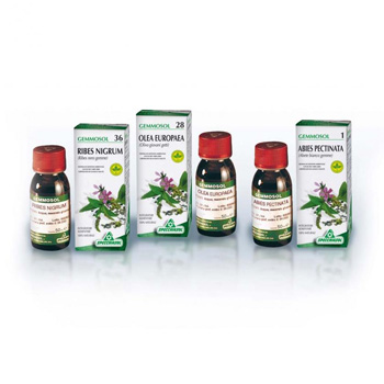 GEMMOSOL 24 FICO 50ML - Farmastop