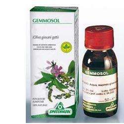 GEMMOSOL 36 RIBES NERO 50ML - Farmastop