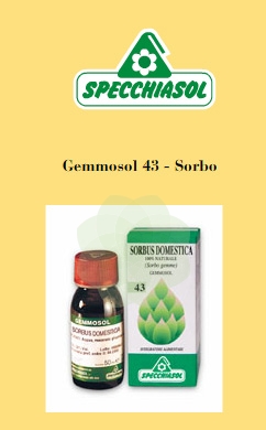 GEMMOSOL 43 SORBO 50ML - Farmastop