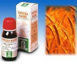 AVENA SATIVA 3 50ML TM - Farmastop