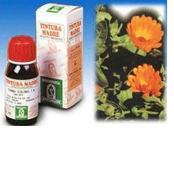 CALENDULA OFF 5 50ML TM - Farmastop