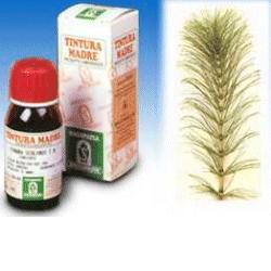 EQUISETO 12 50ML TM - Farmastop