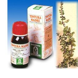 UVA URSINA 30 50ML TM - Farmastop