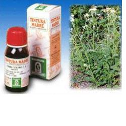 ACHILLEA 51 50ML TM - Farmastop