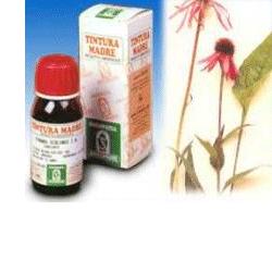 ECHINACEA 59 50ML TM - Farmastop