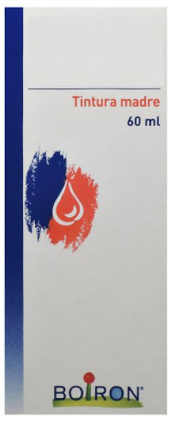 THUYA OCCIDENTALIS TINTURA MADRE 60 ML - Farmastop