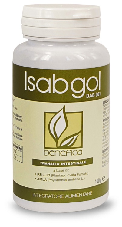 ISABGOL DAB 001 100 G - Farmastop
