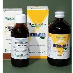ECHINASAN COMP 150 ML - Farmastop