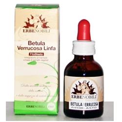 FITOBLASTO BETULLA VERRUCOSA LINFA 50 ML - Farmastop