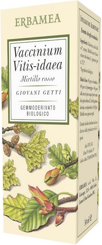 VACCINIUM VITIS IDAEA MIRTILLO ROSSO BIO 50 ML - Farmastop