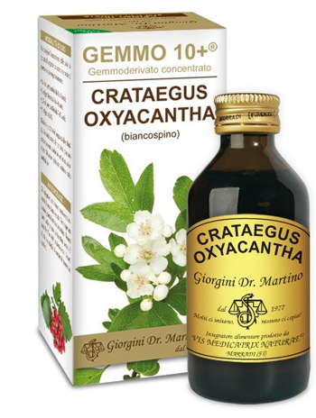 GEMMO 10+ BIANCOSPINO LIQUIDO ANALCOLICO 100 ML - Farmastop