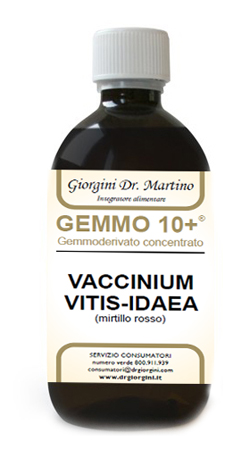 GEMMO 10+ MIRTILLO ROSSO LIQUIDO ANALCOLICO 500 ML - Farmastop