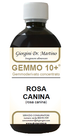 GEMMO 10+ ROSA CANINA LIQUIDO ANALCOLICO 500 ML - Farmastop