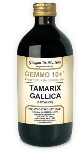 GEMMO 10+ GEMMODERIVATO CONCENTRATO LIQUIDO ANALCOLICO TAMARIX GALLICA TAMERICE 500 ML - Farmastop