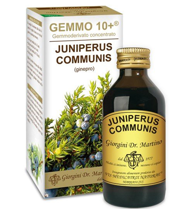 GEMMO 10+ GINEPRO 100 ML LIQUIDO ANALCOLICO - Farmastop