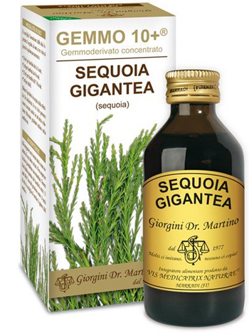 GEMMO 10+ SEQUOIA 100 ML LIQUIDO ANALCOLICO - Farmastop